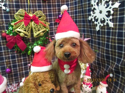 ファイル 5801-2.jpg