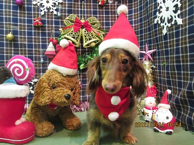 ファイル 5802-1.jpg