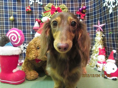 ファイル 5802-2.jpg