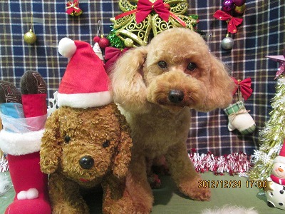 ファイル 5804-1.jpg