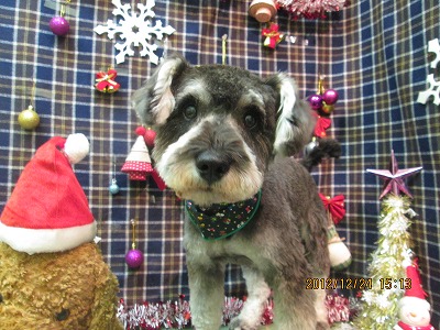 ファイル 5805-2.jpg