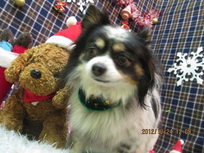 ファイル 5808-2.jpg