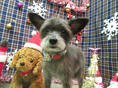 ファイル 5809-2.jpg