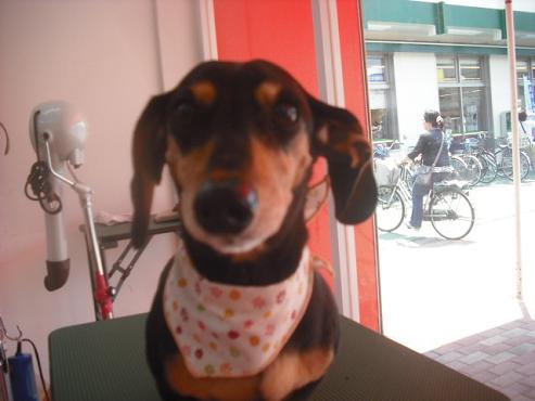 ファイル 581-1.jpg