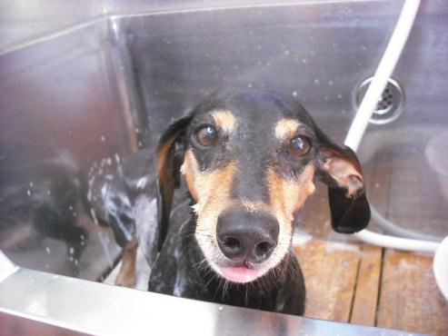 ファイル 581-2.jpg