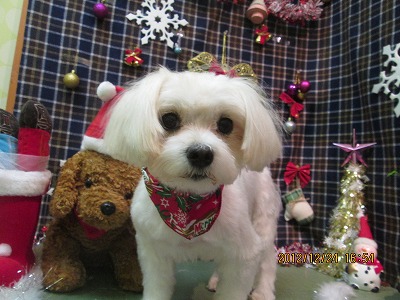 ファイル 5810-1.jpg