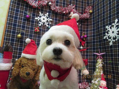 ファイル 5810-2.jpg