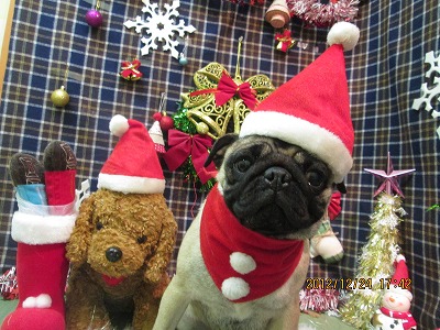 ファイル 5811-2.jpg