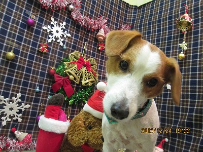 ファイル 5812-2.jpg