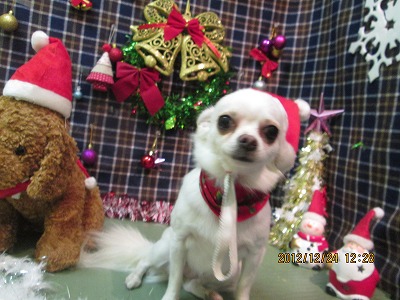 ファイル 5813-1.jpg