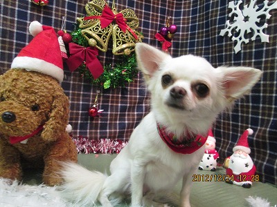 ファイル 5813-2.jpg