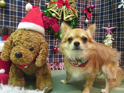 ファイル 5814-1.jpg