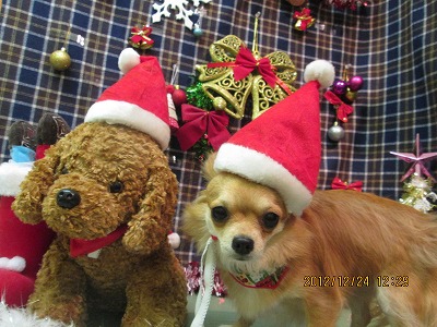 ファイル 5814-2.jpg