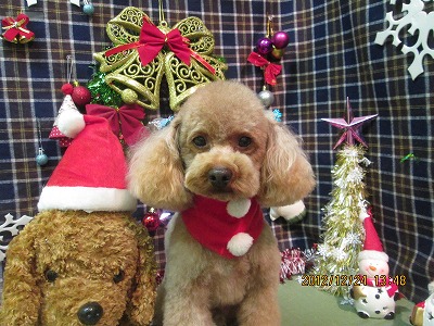 ファイル 5815-1.jpg