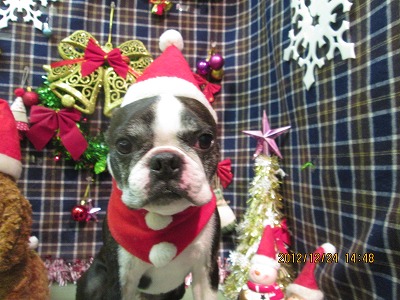 ファイル 5816-1.jpg