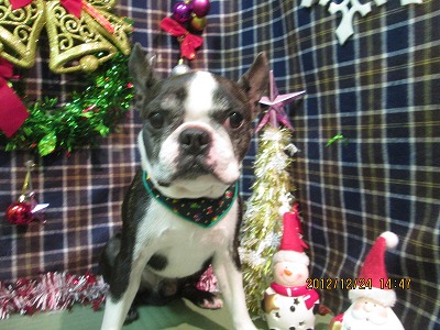 ファイル 5816-2.jpg