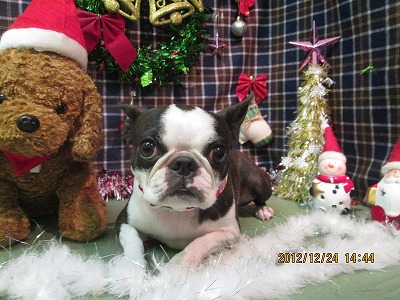 ファイル 5817-2.jpg