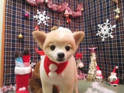 ファイル 5818-1.jpg