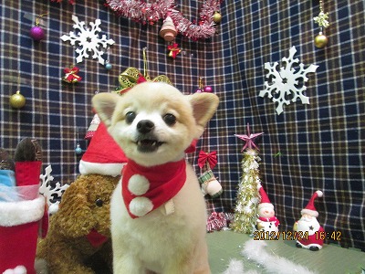 ファイル 5818-2.jpg