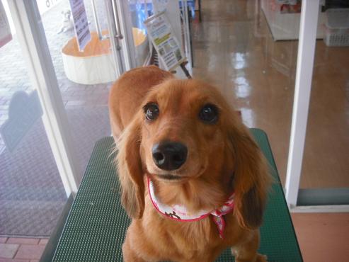 ファイル 582-1.jpg