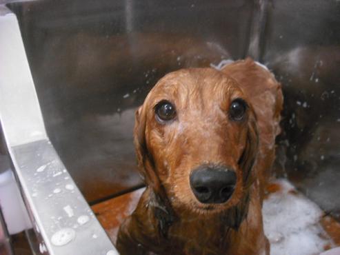 ファイル 582-2.jpg