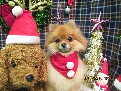 ファイル 5821-2.jpg