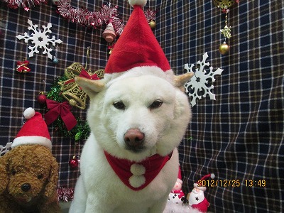 ファイル 5822-2.jpg