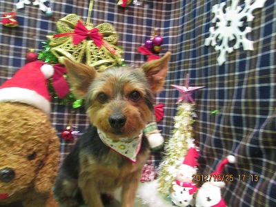 ファイル 5823-2.jpg