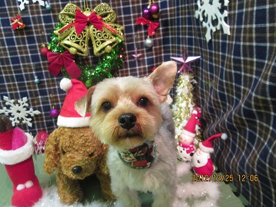 ファイル 5824-2.jpg