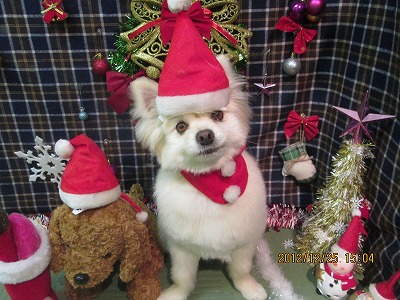 ファイル 5825-1.jpg