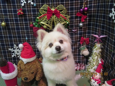 ファイル 5825-2.jpg