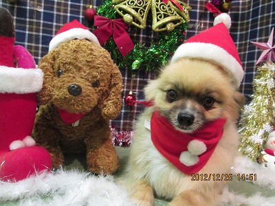 ファイル 5826-1.jpg