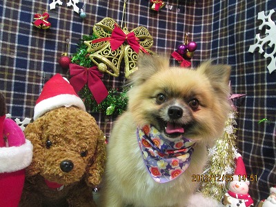 ファイル 5826-2.jpg