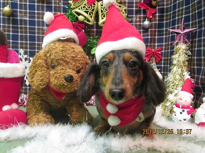 ファイル 5827-1.jpg