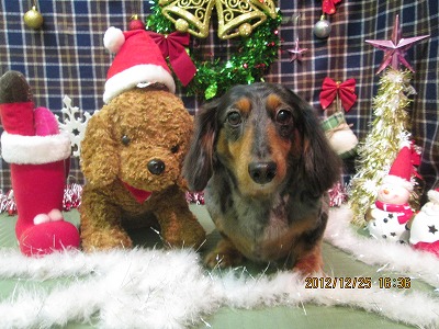 ファイル 5827-2.jpg