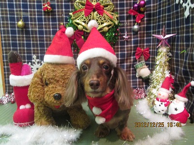 ファイル 5828-1.jpg