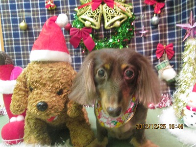 ファイル 5828-2.jpg