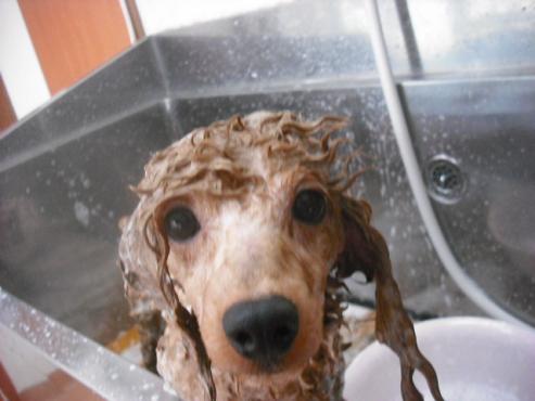 ファイル 583-2.jpg