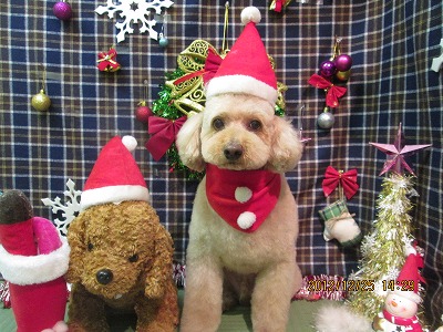 ファイル 5830-1.jpg