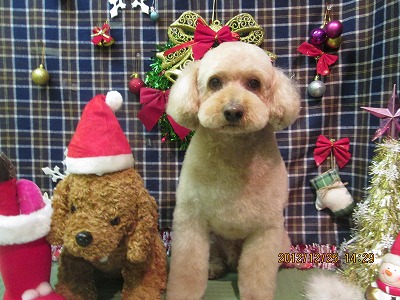 ファイル 5830-2.jpg