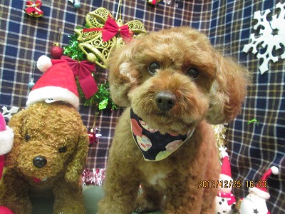 ファイル 5831-2.jpg