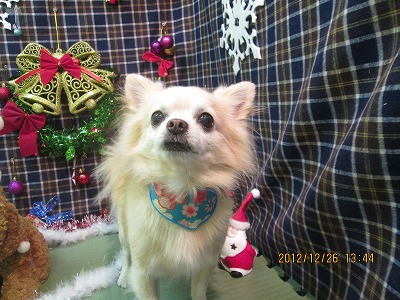 ファイル 5833-2.jpg