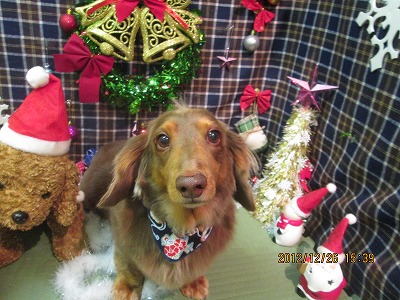 ファイル 5834-2.jpg