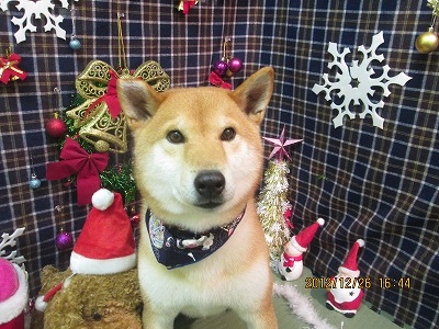 ファイル 5835-2.jpg