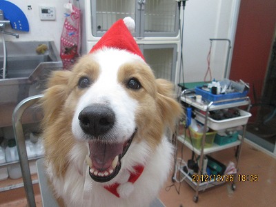 ファイル 5836-1.jpg