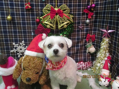 ファイル 5837-2.jpg