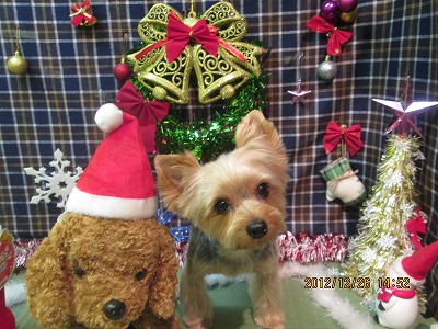 ファイル 5838-2.jpg