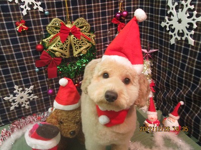 ファイル 5839-1.jpg