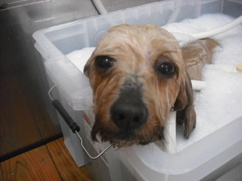 ファイル 584-2.jpg