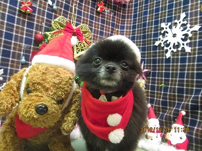 ファイル 5841-1.jpg